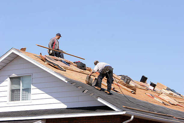 Best Metal Roofing Installation  in Kerrville, TX